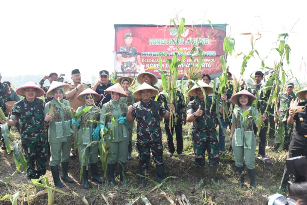 Panen Raya Kodam Jaya BErsama Petani di Lahan Food Estate Terpadu